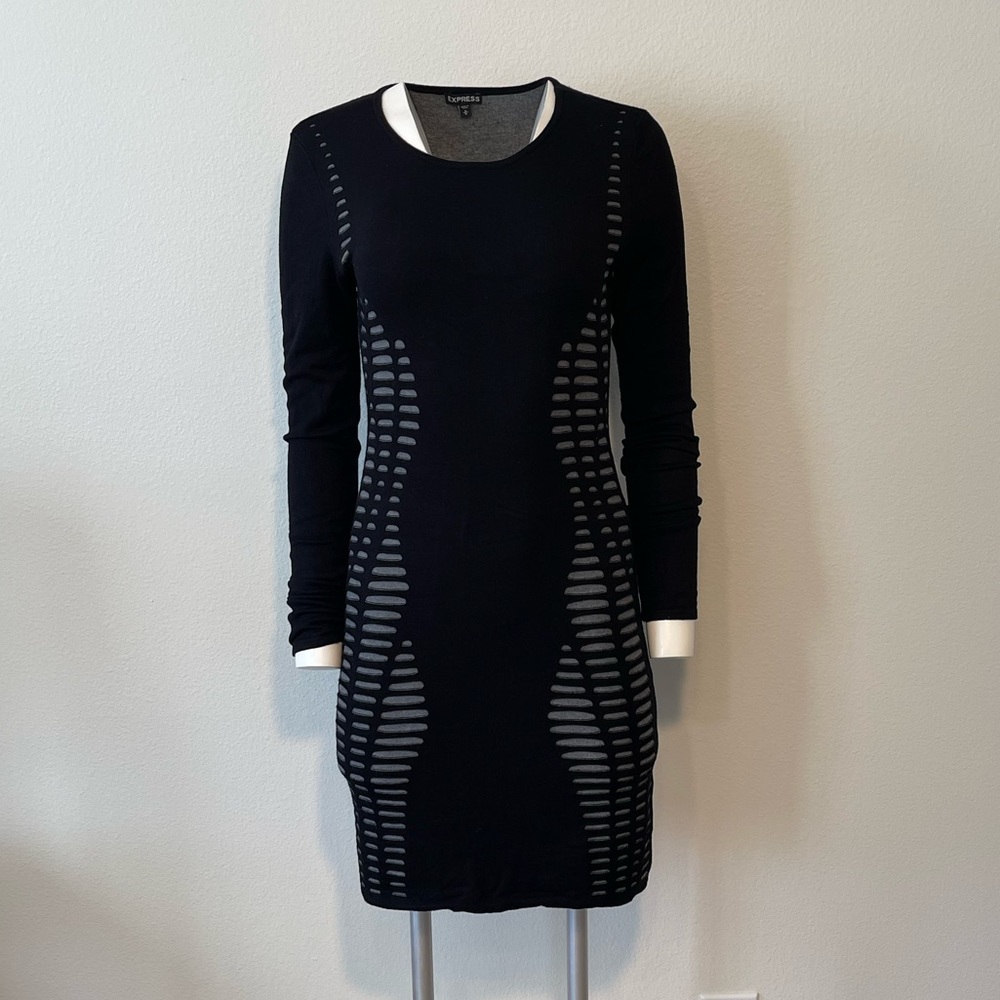 Express Bodycon Dress